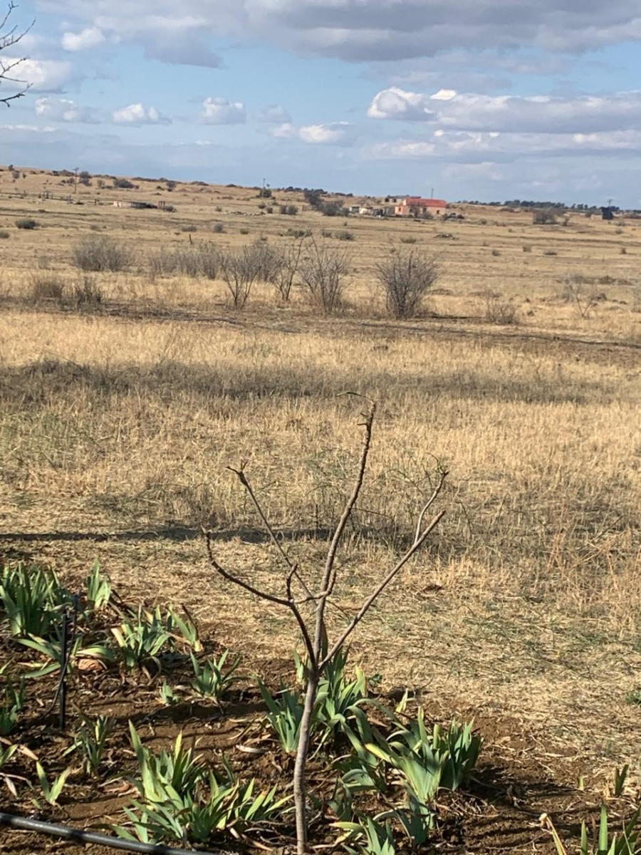Commercial Property for Sale in Levins Estate Free State